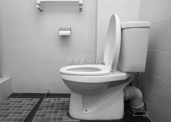 毛坯房卫生间最省钱简装攻略,卫生间怎么装修最省钱(图4) 马桶