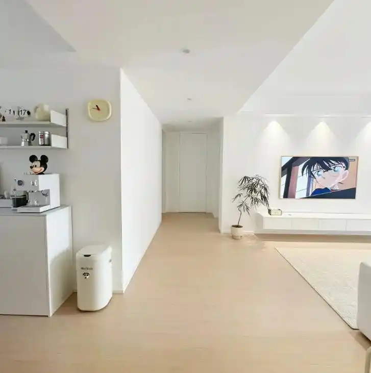 若装修预算不多,就记好这8个省钱思路,效果出来照样让人惊艳(图15) 取消墙面造型设计_时尚家装私人馆:预算新妙招_装修省钱思路