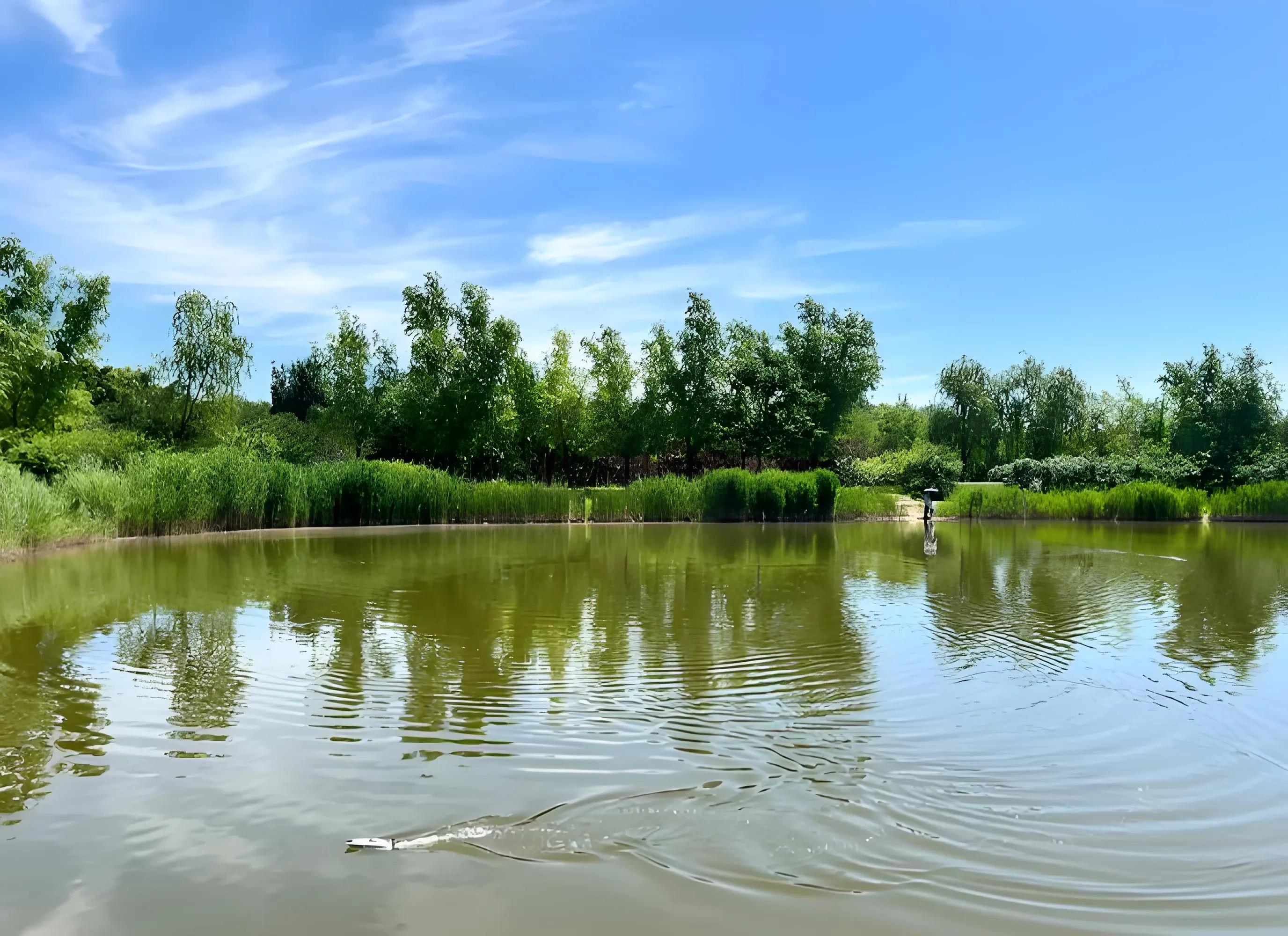 石景山2025年7月免费玩水露营TOP6(图6) 永定河自行车公园门票_莲石湖南岸活水野趣营地_永定河森林公园白沙滩2.0版