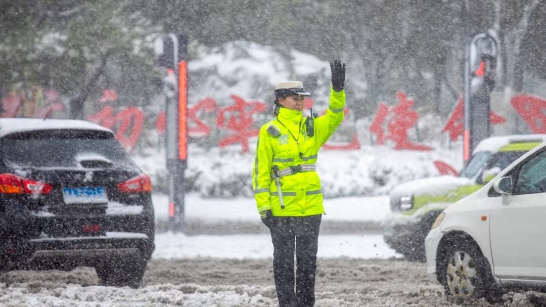非本人车辆怎么查违章？不是自己的车也能查违章！