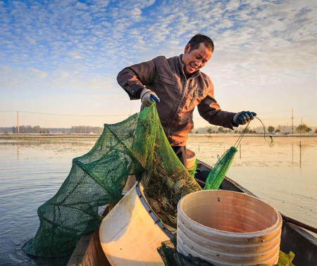高邮：深耕沃野绘新篇
