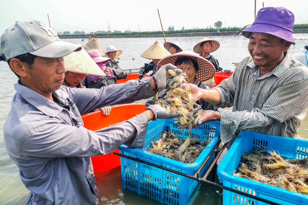 高邮:深耕沃野绘新篇(图2) 高邮大闸蟹电商平台销售_高邮现代农业高质量发展示范园_高邮产业技术研究院