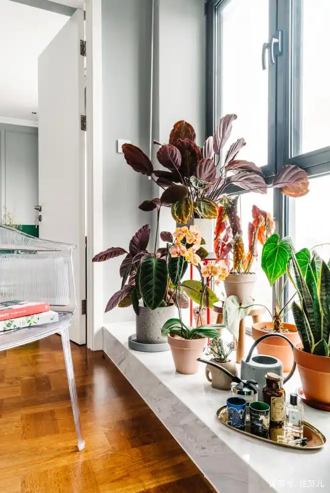 大红大绿80㎡,竟然搭出最高级的北欧风!(图21) 精品小户型欧式装修_82平米小户型改造_全屋开放式厨房餐厅设计