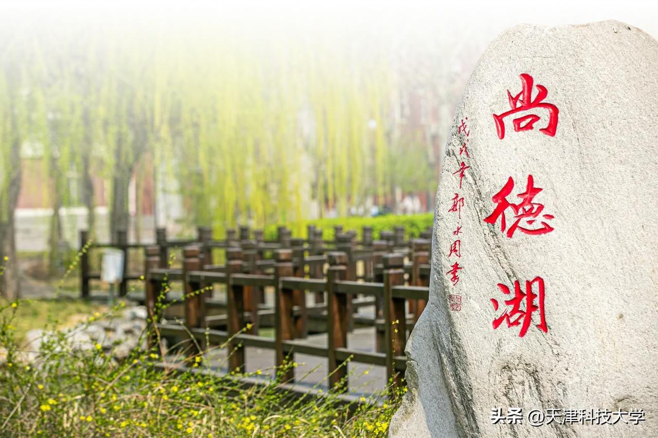 勇攀高峰!天津科技大学U.S. News世界排名再获突破,高分子学科跃居全球第九!(图4) 高分子学科全球第九_天津科技大学U.S.News排名2025_天津科技大学生物工程研究生