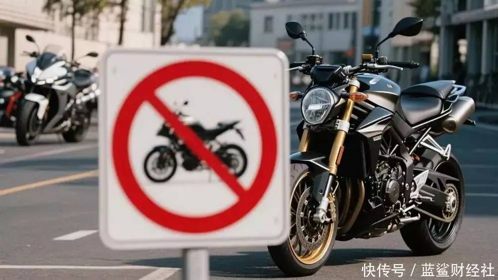 电动自行车:中国式制霸(图2) 电动自行车市场崛起分析_三环自行车_中国摩托车产业衰败原因