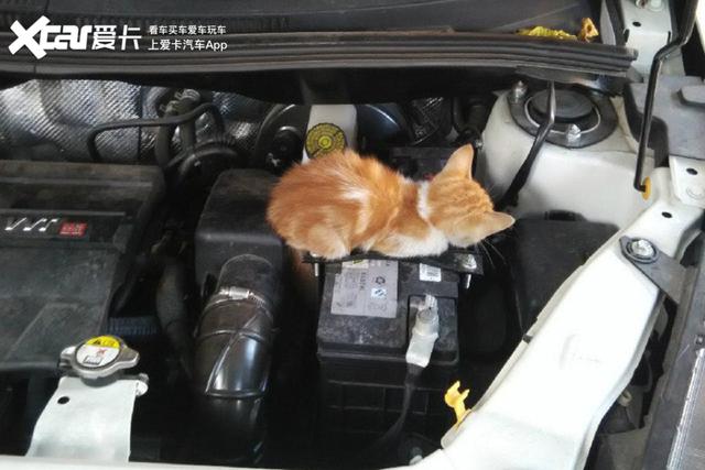 汽车异响原因解决方法_尼桑帕拉丁发动机响_发动机皮带老化异响处理