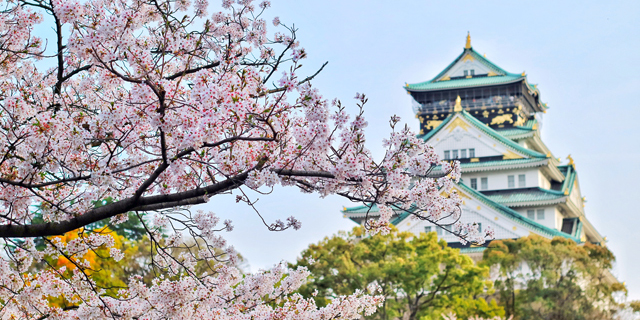 河北东华实业集团(河北东华实业集团有限公司)(图2) 河北东华实业集团(河北东华实业集团有限公司)插图1