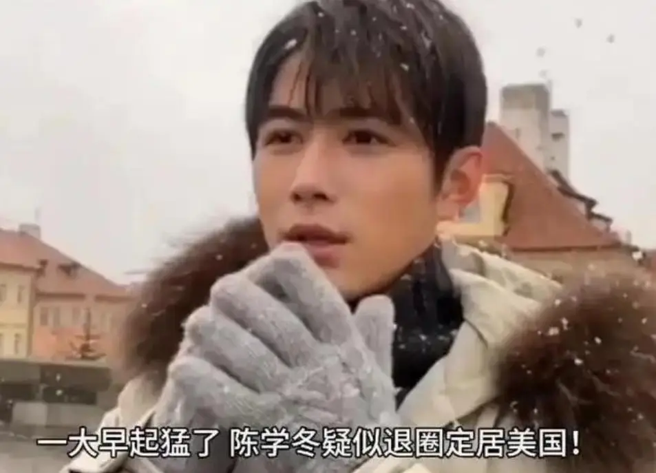 出道18年,演艺事业波折不断,陈学冬的辛酸无人知晓(图8) 陈学冬车祸康复之路_陈学冬作品下架原因_和力辰光传媒陈学冬