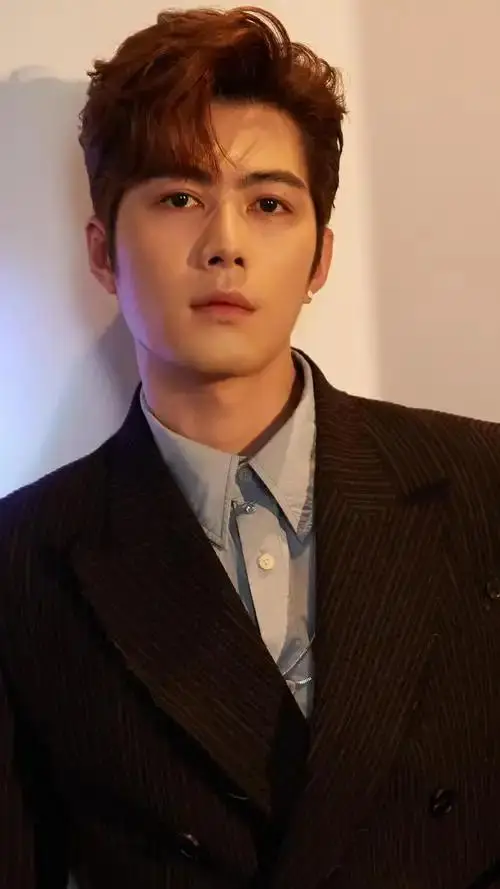 陈学冬:从爆红到“归零”,作品未能突围,差点就能翻盘(图3) 陈学冬 车祸治疗进展_和力辰光传媒陈学冬_陈学冬 演员生涯 波折