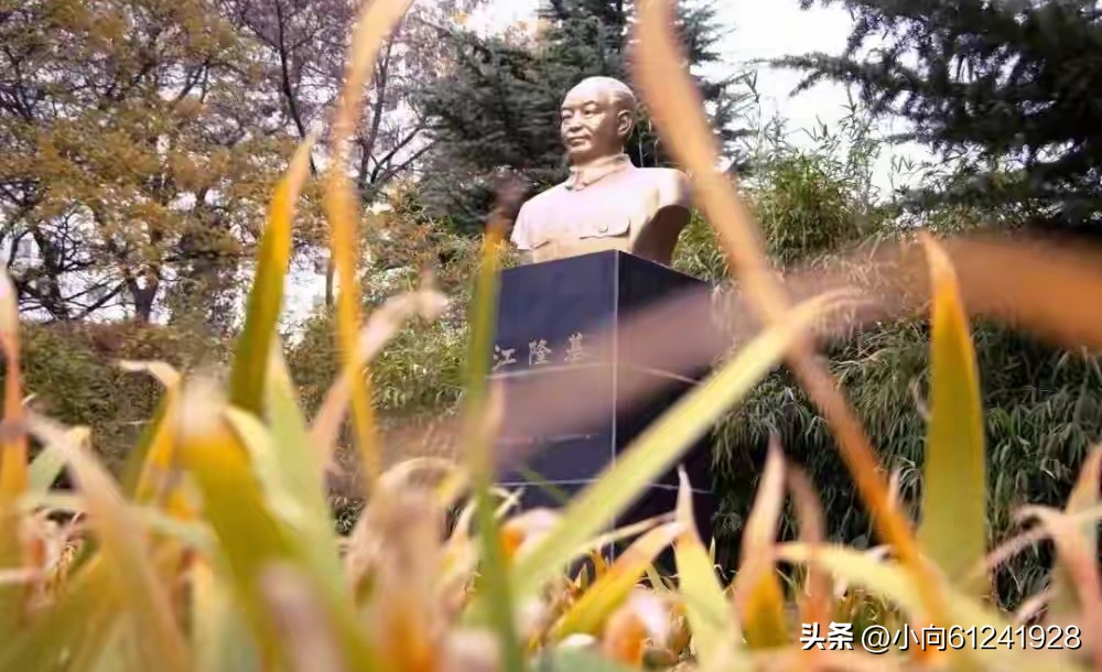 最委屈985,把中国光伏干成全球第一(图2) 光伏技术国家重点实验室_李振国单晶硅技术_兰州大学光伏产业