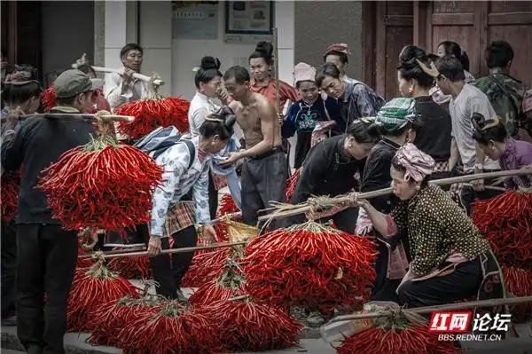 徐忠诚丨器材好就能出大片吗?不,对待风光摄影你还得有态度(图5) 中国数码摄影家协会官网_摄影作品赏析_风光摄影技巧