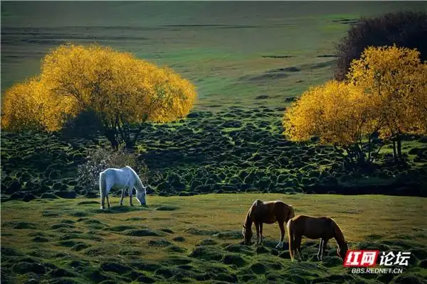 徐忠诚丨器材好就能出大片吗?不,对待风光摄影你还得有态度(图7) 中国数码摄影家协会官网_风光摄影技巧_摄影作品赏析