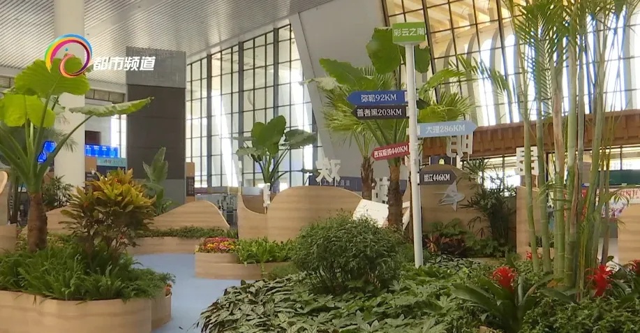 鲜花就是生活!全国“最香”高铁站就在昆明(图2) 昆明南站鲜花_昆明汽车客运南站_鲜花簇拥的高铁站