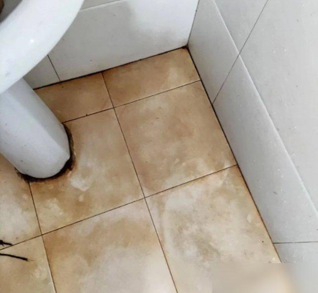 再装修,我一定要把这8个卫生间设计抄回家,少一个都不行(图20) 卫生间双卫改造_悬空卫浴清洁神器_装修浴室效果图