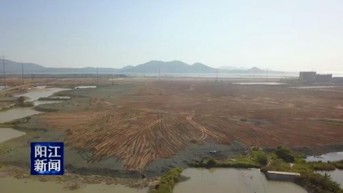 广青科技炉渣清零 绿色生产呈新气象