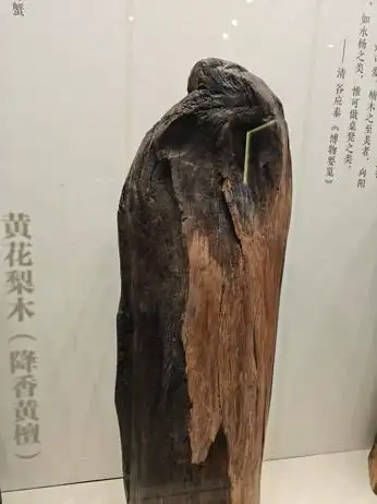 木器风华:一展了解中国传统家具|观展(图2) 紫檀木花梨木酸枝木楠木鸡翅木瘿木铁梨木材质特点_中国传统家具工艺_中国古典家具木料色泽刀工漆艺装饰纹样