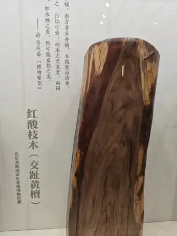 木器风华:一展了解中国传统家具|观展(图4) 中国传统家具工艺_中国古典家具木料色泽刀工漆艺装饰纹样_紫檀木花梨木酸枝木楠木鸡翅木瘿木铁梨木材质特点
