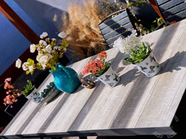 办公室桌面太单调？3 步自制 绿植生态盒用酸奶盒、旧海绵就能搞定