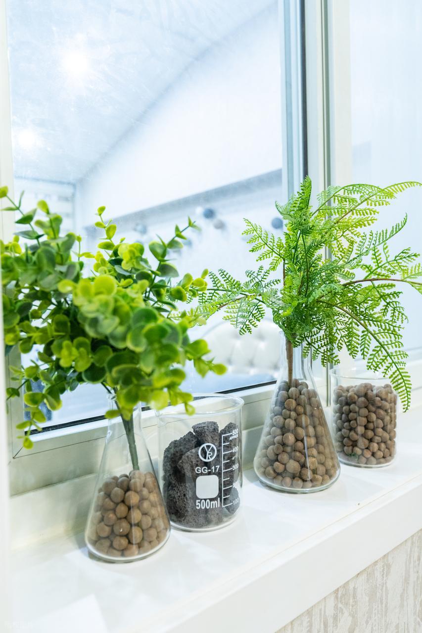 酸奶盒旧海绵做生态缸_diy玻璃瓶装饰_自制绿植生态盒