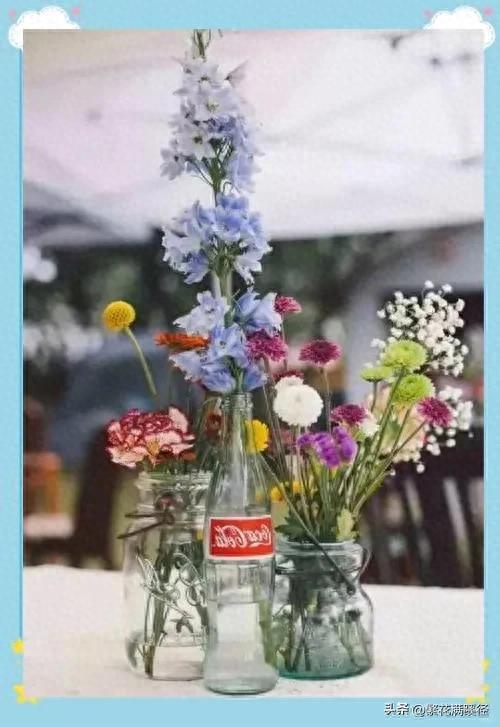 空瓶子大变身：变废为宝的生活智慧