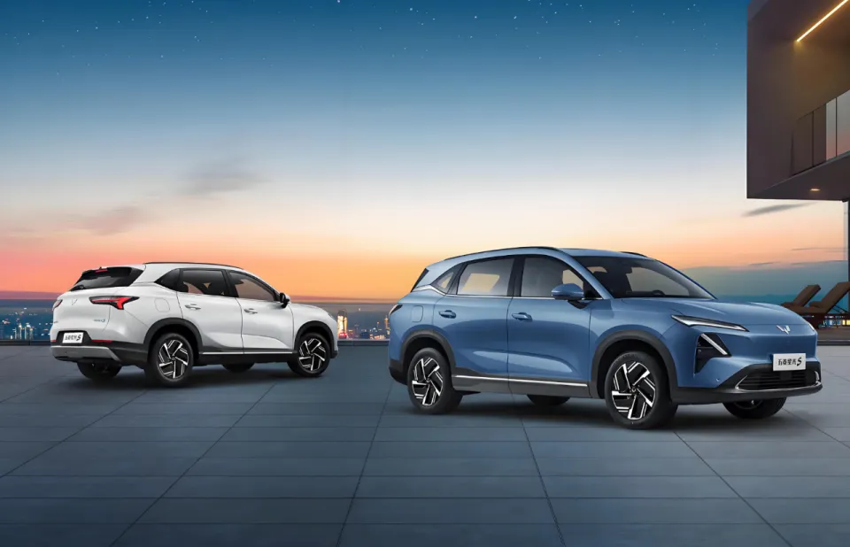 新能源汽车电动车发展史(九)五菱(图11) 图片