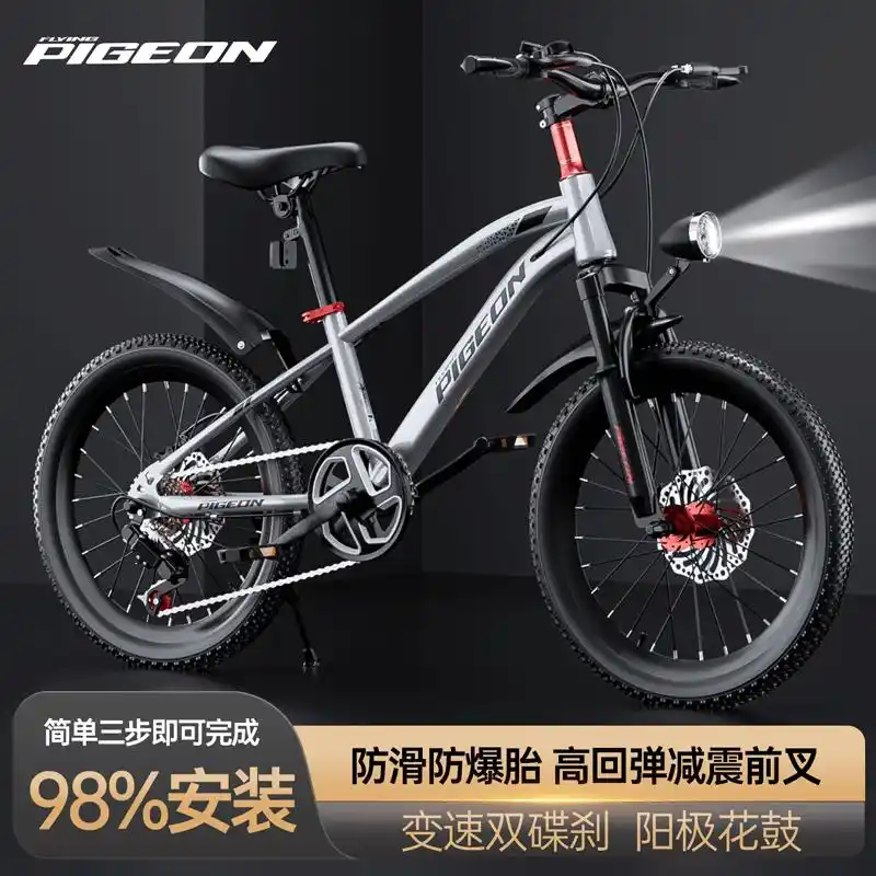 飞鸽自行车质量怎么样?探索品牌背后的实力与特色(图3) 飞鸽自行车质量怎么样_飞鸽自行车_飞鸽自行车哪个型号好