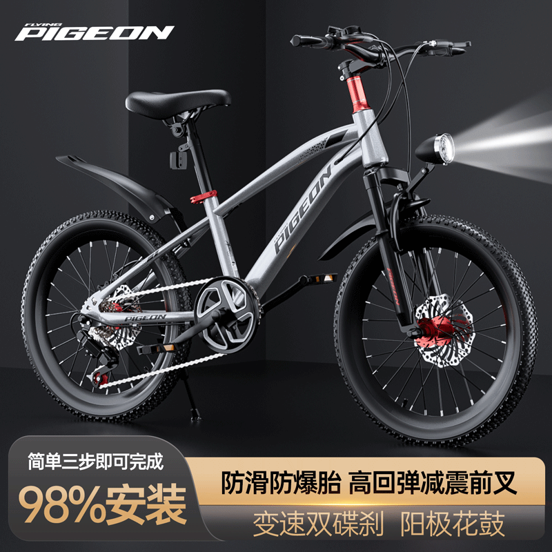 飞鸽自行车质量怎么样?探索品牌背后的实力与特色(图5) 飞鸽自行车质量怎么样_飞鸽自行车哪个型号好_飞鸽自行车