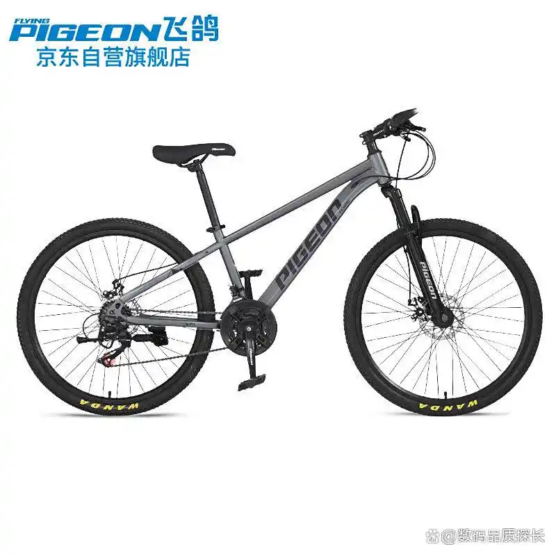 飞鸽自行车怎么样?探寻经典与新技并存的骑行体验(图2) 飞鸽自行车评测_飞鸽自行车_飞鸽自行车怎么样