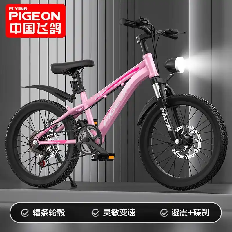 飞鸽山地车怎么样,质量如何,性能与设计兼具的理想选择(图4) 飞鸽山地车 哪个型号好 _飞鸽山地车怎么样 质量 如何 _飞鸽自行车