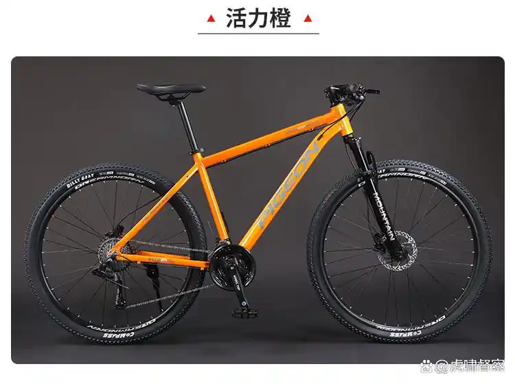 飞鸽与凤凰自行车评测：哪款更适合你？