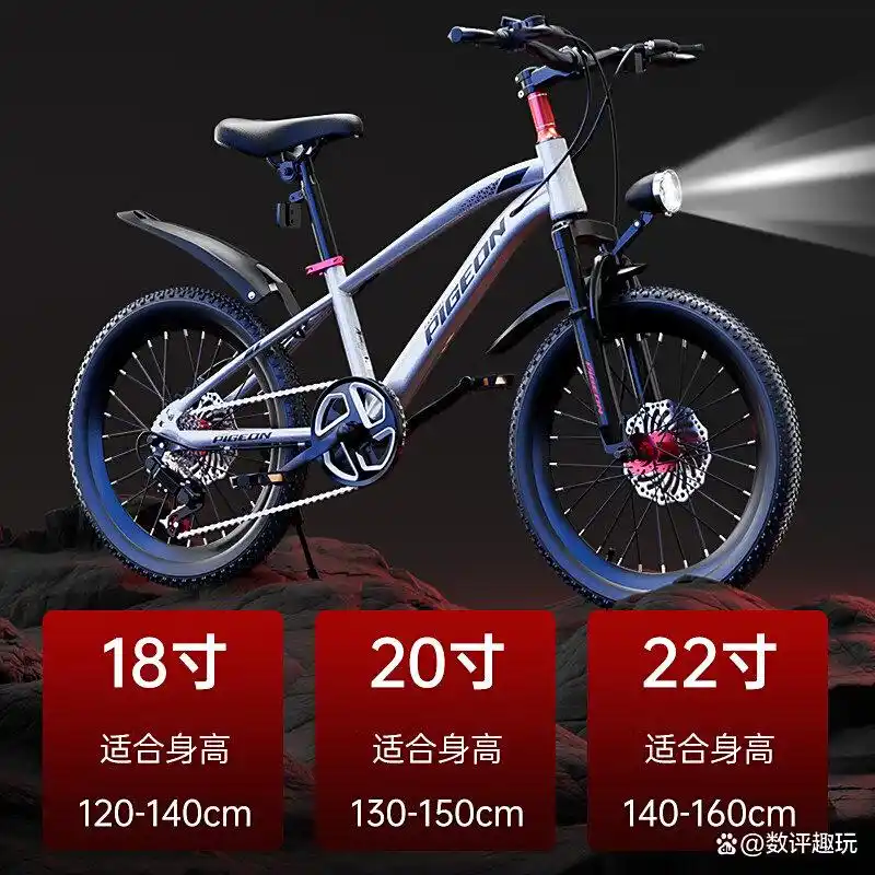 飞鸽自行车怎么样?品质与性能兼顾的理想选择(图3) 飞鸽自行车_飞鸽自行车怎么样 飞鸽自行车型号推荐 飞鸽自行车选购指南