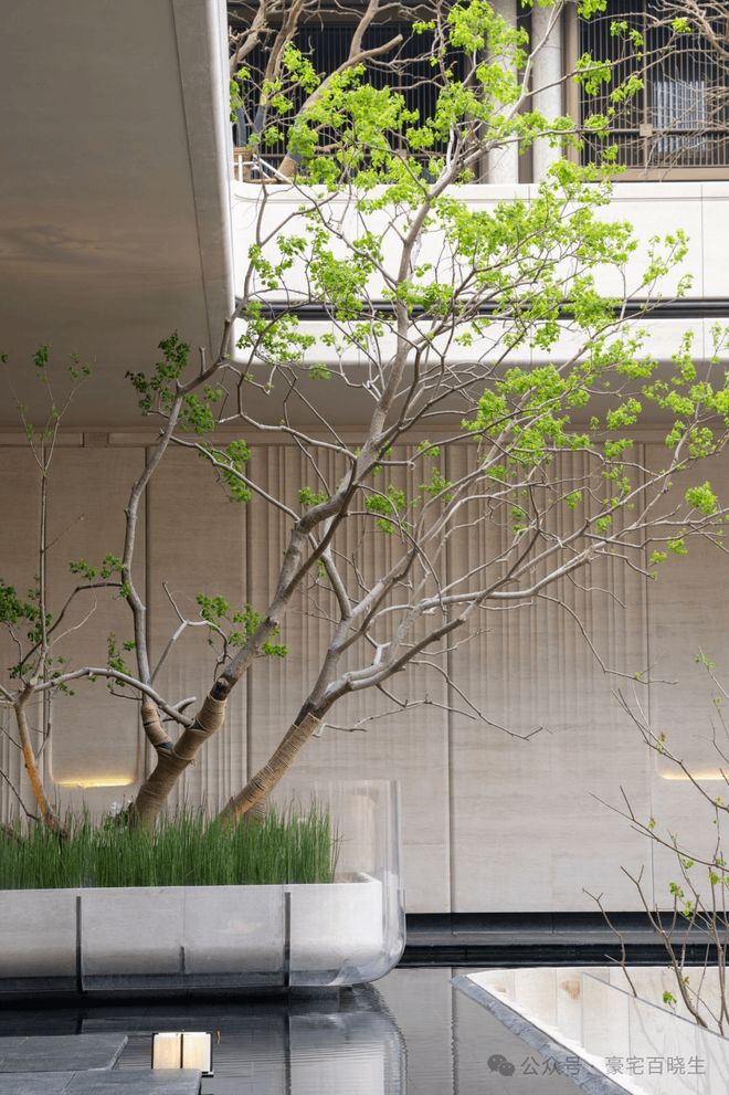 上海聚焦 @招商康定壹拾玖售楼处发布:静安康定壹拾玖新房新篇章(图36) 上海静安区新房_康定壹拾玖 老静安 核心地段