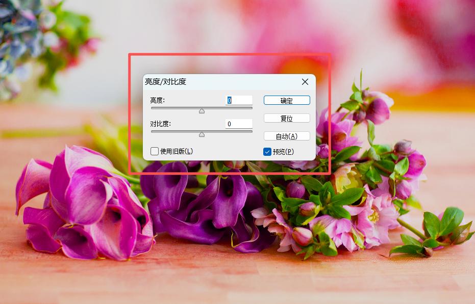 adjust natural saturation in image editor_photoshop数码摄影人像照片精修_adjust brightness and contrast in image editor