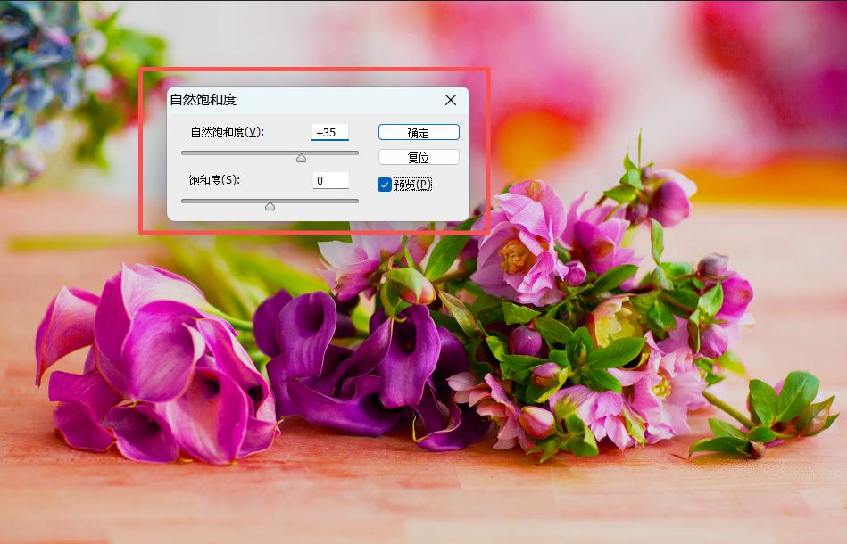 photoshop数码摄影人像照片精修_adjust brightness and contrast in image editor_adjust natural saturation in image editor