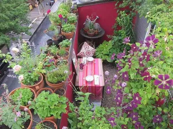 该如何计划和打理阳台绿化?(图3) 阳台养花论坛_阳台植物选择_养花技巧