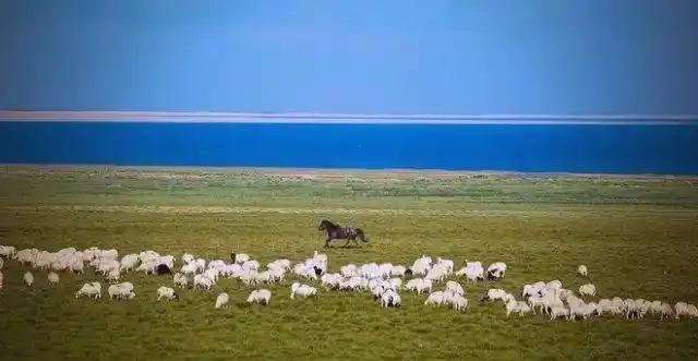 探索北京到拉萨的火车之旅:价格低廉的高原风光体验(图4) 北京到拉萨火车z21风景_火车进藏之旅_北京到拉萨火车票