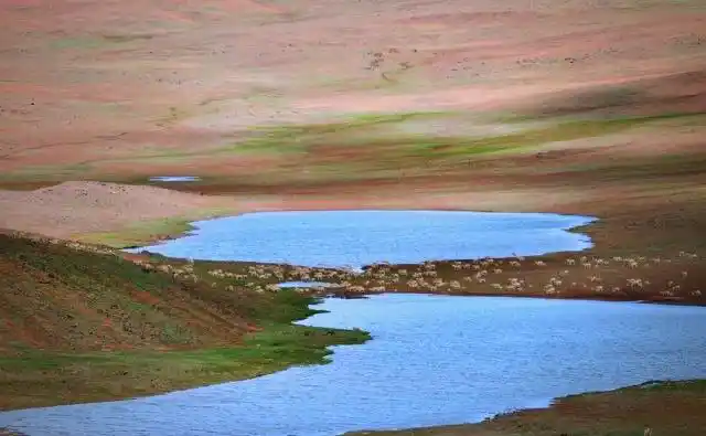 探索北京到拉萨的火车之旅:价格低廉的高原风光体验(图7) 北京到拉萨火车z21风景_火车进藏之旅_北京到拉萨火车票