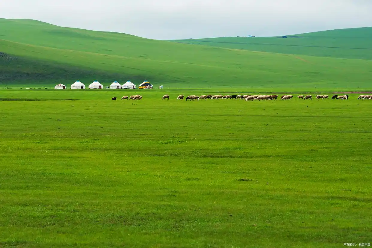 探索雪域高原:西藏旅游列车完全指南!(图5) 青藏铁路观光列车路线_西藏旅游列车沿途景点_北京到拉萨火车z21风景