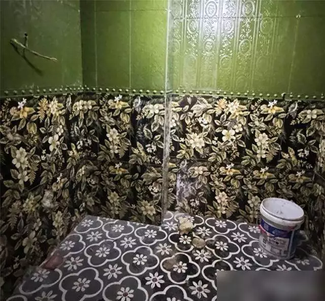 石家庄姑娘复古风卫生间装修失败走红,网友:用力过猛(图10) 卫生间复古装修技巧_石家庄好装修公司_如何避免复古风装修翻车