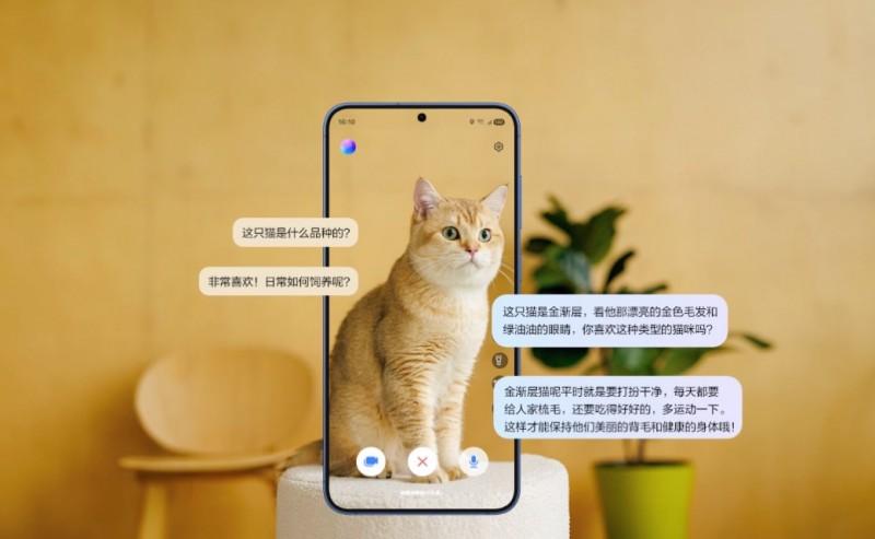 更聪明的AI 更贴心的陪伴 三星Galaxy手机让日常体验更轻松