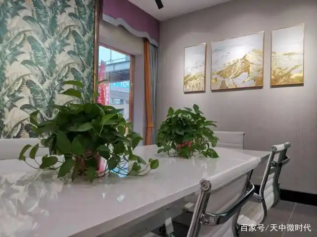 天衣无缝墙布：高端家装首选