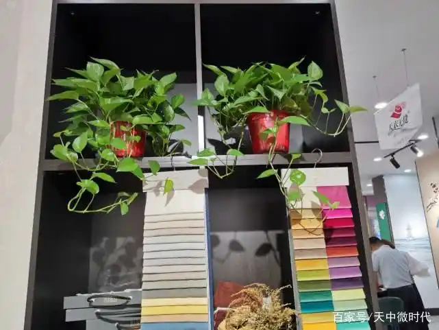 天衣无缝墙布:高端家装首选(图3) 天衣无缝墙布驻马店分公司_乾莊刺绣品牌介绍_天衣无缝墙布效果图