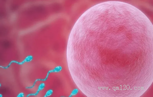 美国做人工受孕费用能花多少钱(美国人工授精成功经验分享)