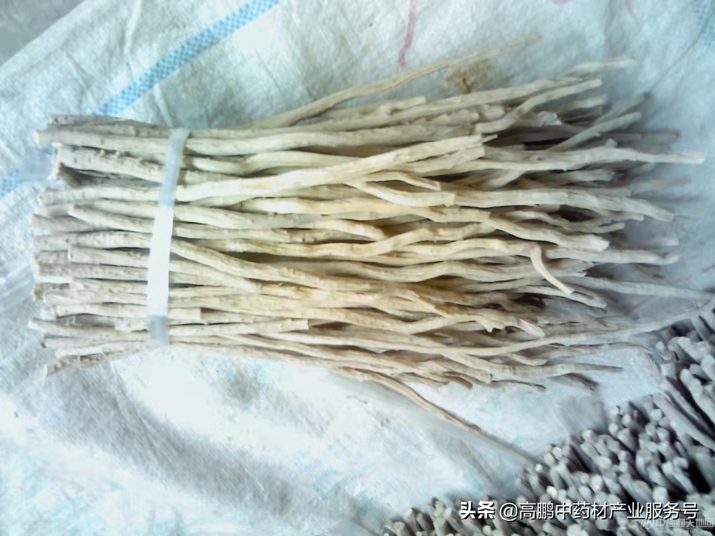 近期价格屡创新高的中药材品种(图3) 麦冬市场行情分析_中药材价格走势_河南焦作怀牛膝价格