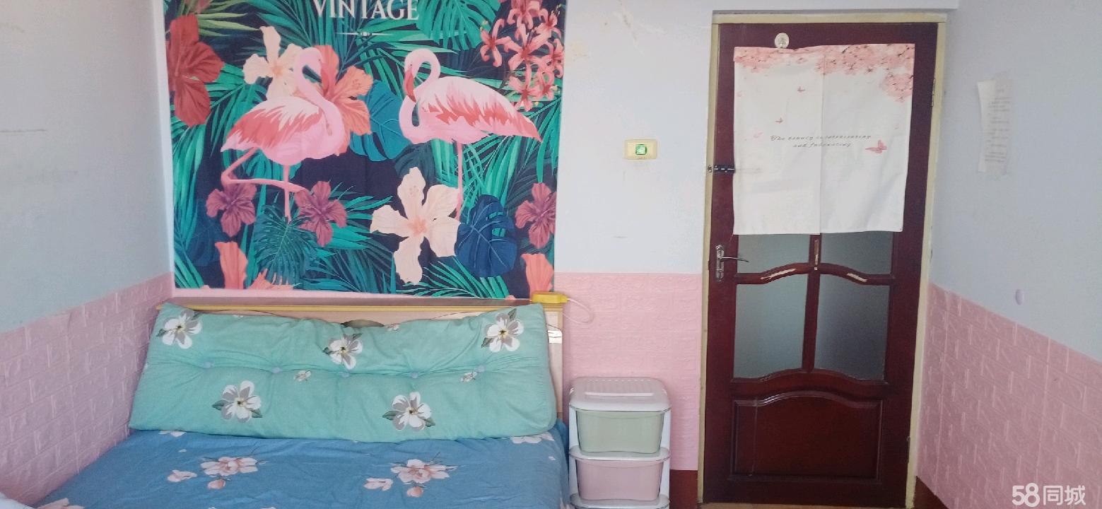 出租可月租押一付一 俊梅超市旁 佳大尚都 步梯四楼 两室一厅(图3) 佳木斯桦南民生大世界新兴路 4室0厅2卫出租房源真实图片