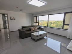 百货大楼,天朗万达旁,月付WIFI房,拎包入住(图78) 抚顺李石开发区顺安路中南熙悦三室两厅两卫特别大的客厅随时看房出租房源真实图片