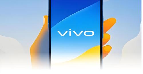 当vivo接入淘宝闪购,品牌增长有了新答案(图8) 500