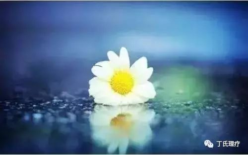 中医养生的平衡~