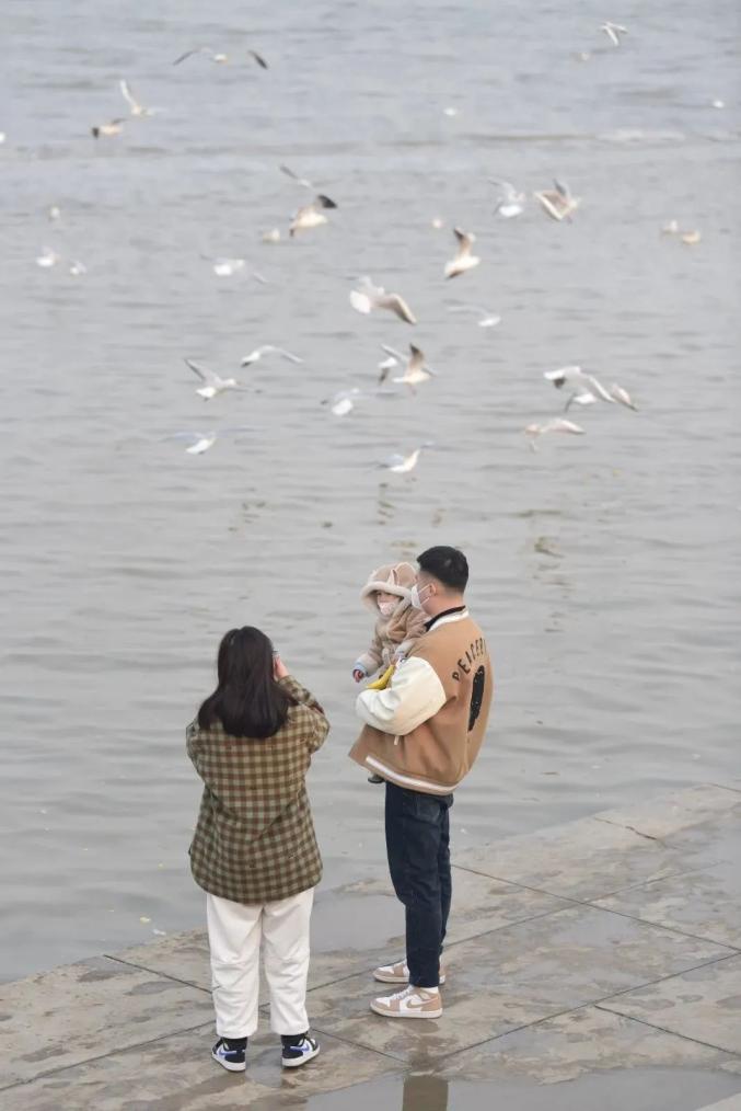 快收好!滨城“向海乐活节”游玩详细路线来了(图2) 天津三日亲水岸线之旅_天津家装展门票_天津方特欢乐世界一日游攻略