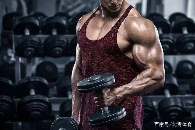 如何练肌肉？学会这些方法让你拥有好身材